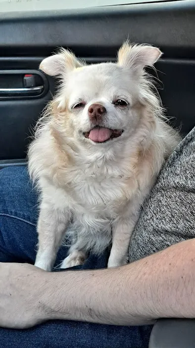 Las Posas Veterinary Medical Center 5