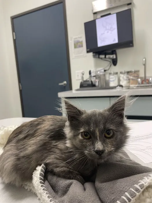 Las Posas Veterinary Medical Center 9