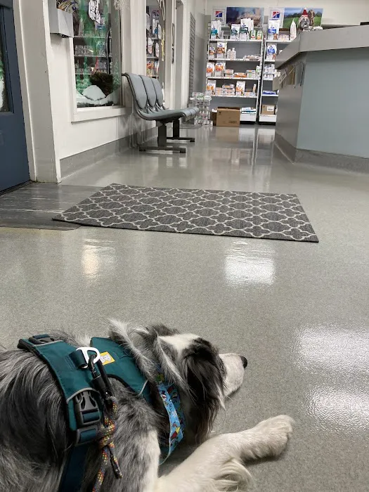 Las Posas Veterinary Medical Center 4