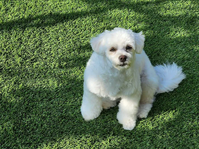 Valley Veterinary Clinic 6