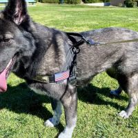 Simi Valley Non-Profit Spay and Neuter Clinic ico