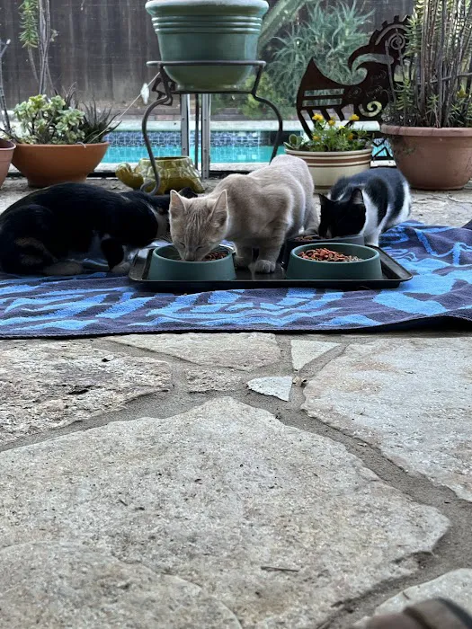Simi Valley Non-Profit Spay and Neuter Clinic 5