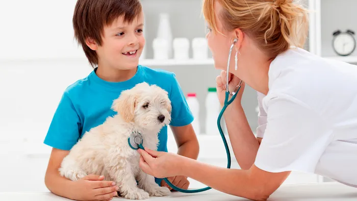 Angeles Animal Hospital 2