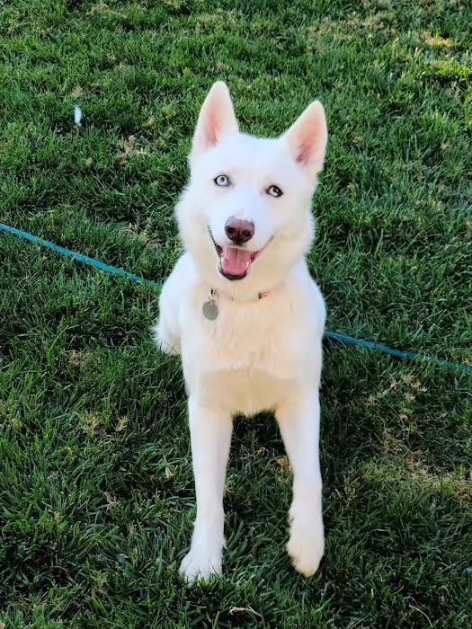 Angeles Animal Hospital 7