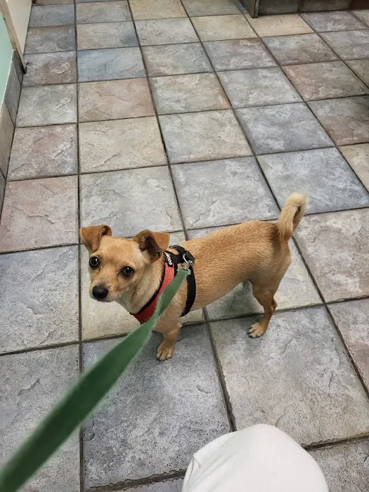Angeles Animal Hospital 6
