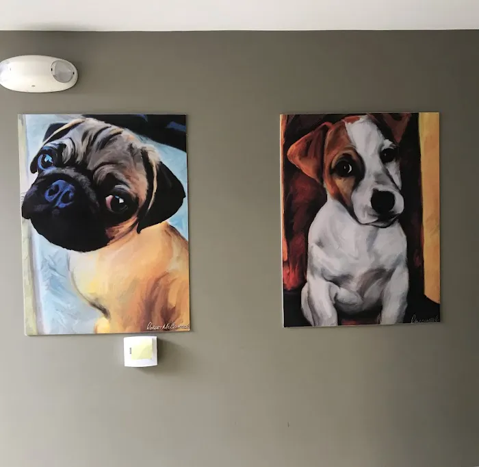 Dr. Ron's Animal Hospital 9