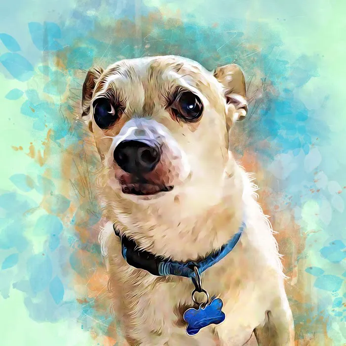 Dr. Ron's Animal Hospital 5