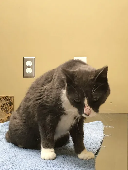 Dr. Ron's Animal Hospital 6