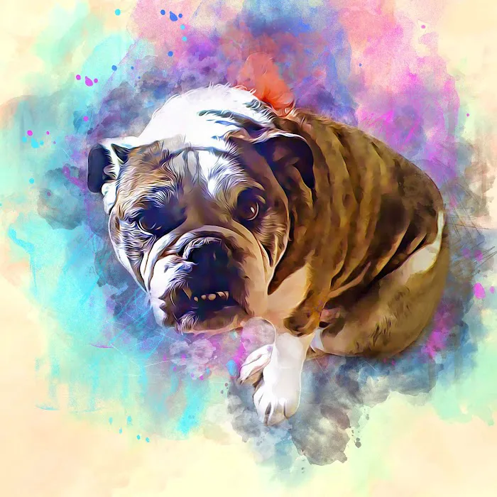 Dr. Ron's Animal Hospital 2