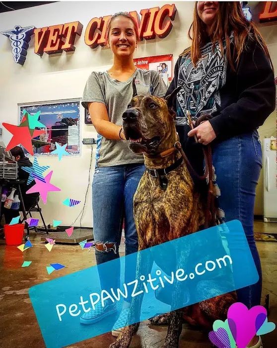Pet Pawz-itive 6