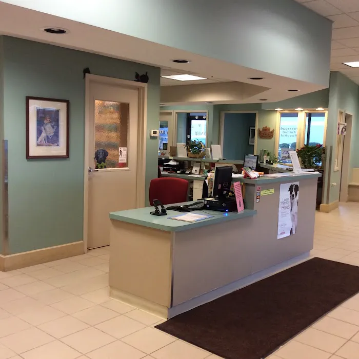 Crossroads Animal Hospital 10