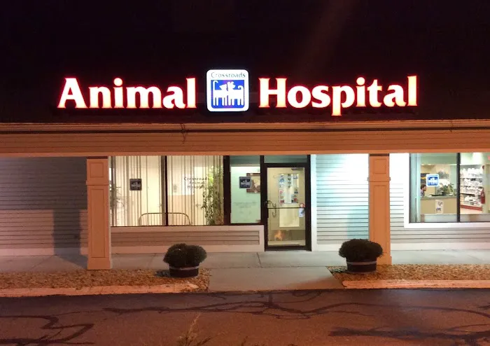 Crossroads Animal Hospital 9