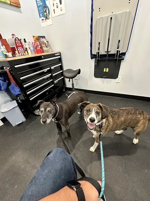 Healthy Heart Veterinary Clinic 4