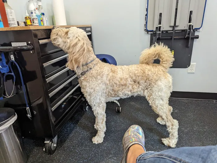 Healthy Heart Veterinary Clinic 7