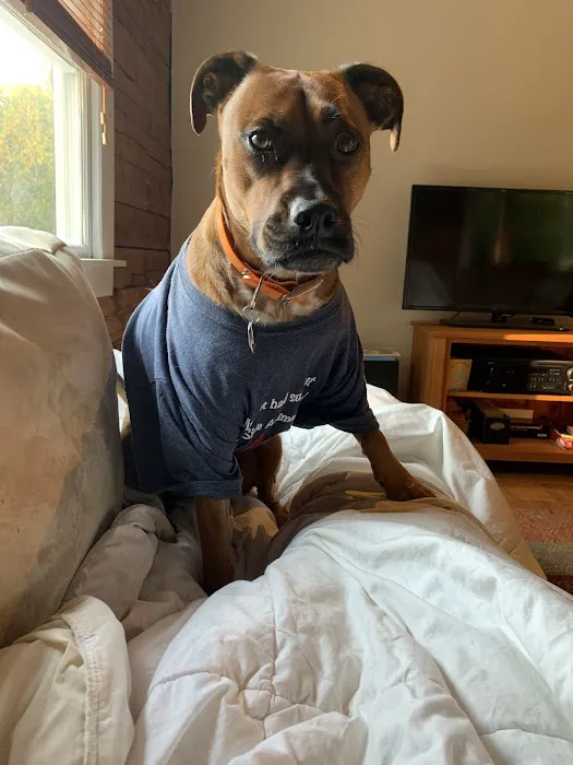 Lake Side Animal Hospital-Tilton 7