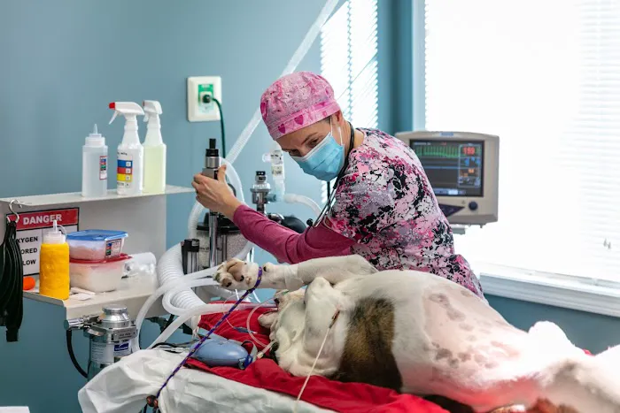 Sugar River Animal Hospital 8
