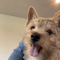Sugar River Animal Hospital ico