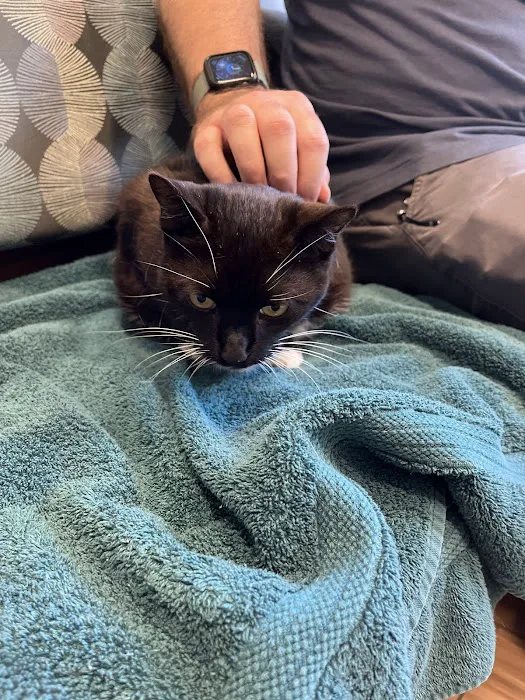Sugar River Animal Hospital 6