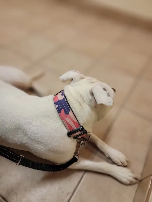 Claremont Animal Hospital 1