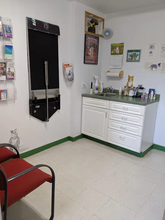 Charlestown Animal Hospital 8