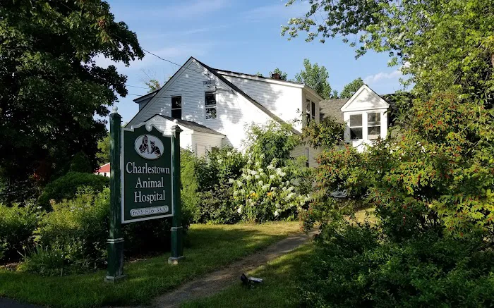 Charlestown Animal Hospital 9