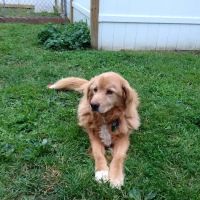 Riverbend Veterinary Clinic ico