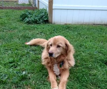 Riverbend Veterinary Clinic