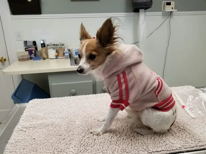 Riverbend Veterinary Clinic 3
