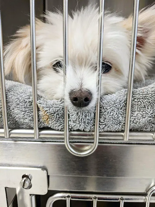 Stoney Brook Veterinary Hospital 4