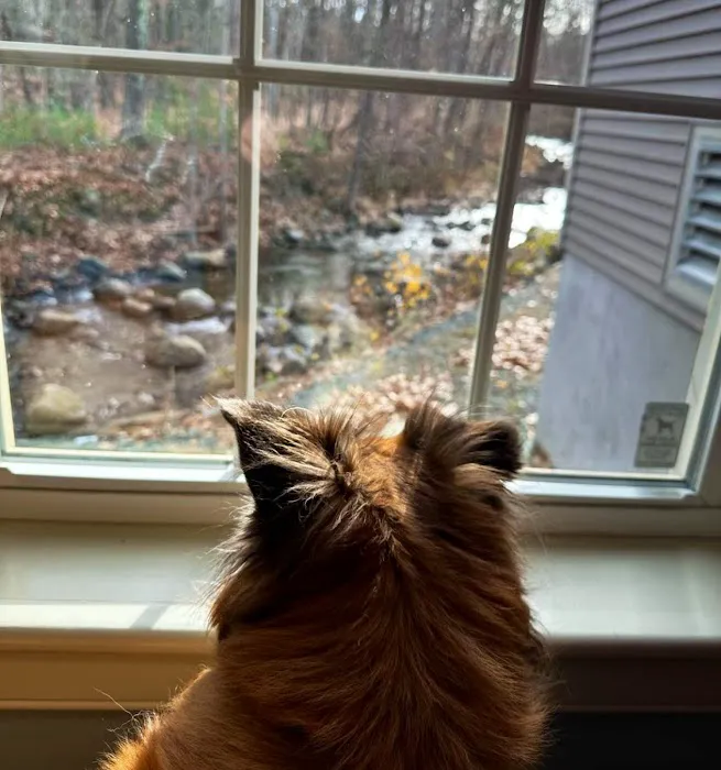 Stoney Brook Veterinary Hospital 5