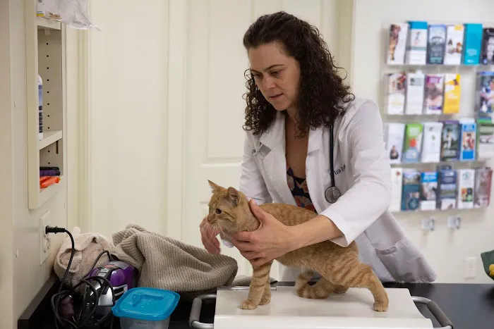 Stoney Brook Veterinary Hospital 7