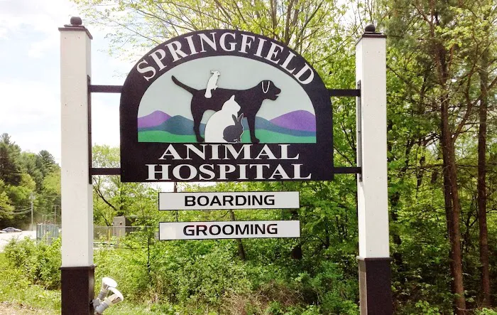 Springfield Animal Hospital 4
