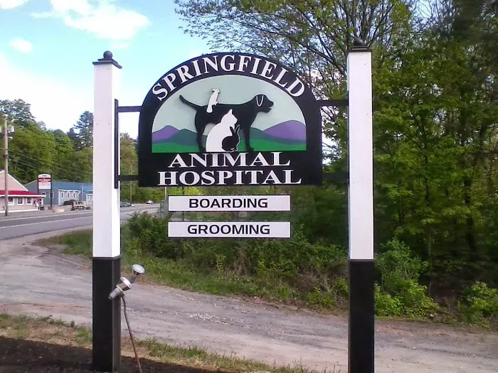 Springfield Animal Hospital 5