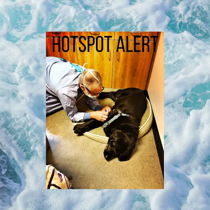 Stonecliff Animal Clinic of New Hampshire 10