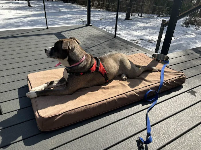 Stonecliff Animal Clinic of New Hampshire 4