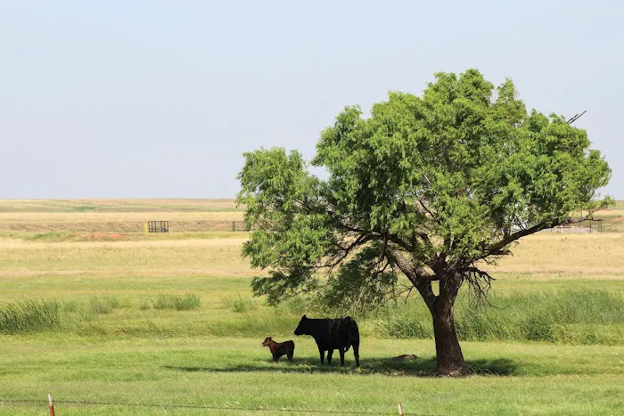 Pro Livestock Solutions 1