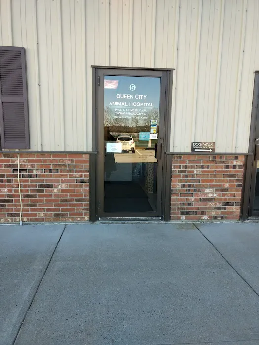 Queen City Animal Hospital 2