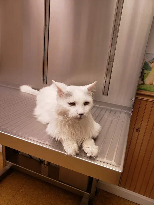 Hooksett Veterinary Clinic 3