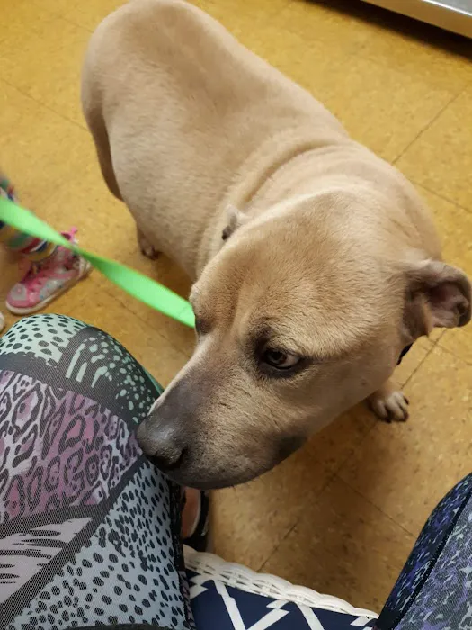 Hooksett Veterinary Clinic 6