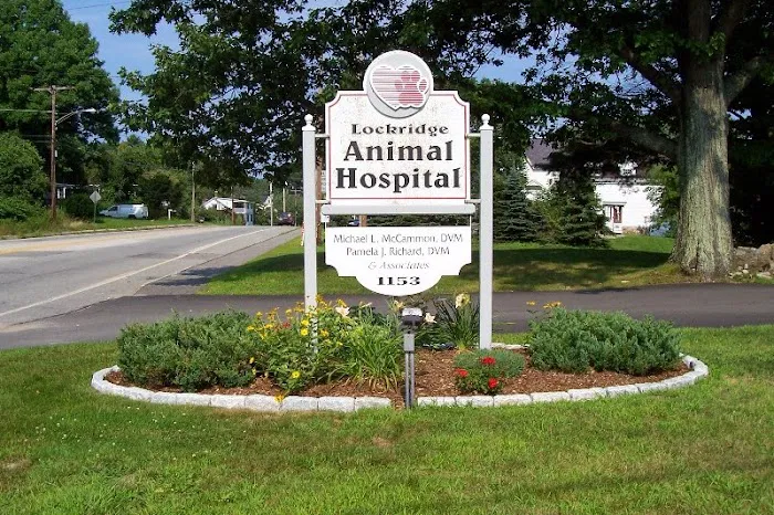 Lockridge Animal Hospital 10