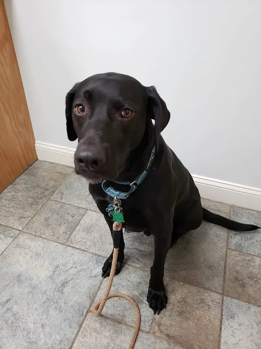 Tower Hill Animal Hospital 1