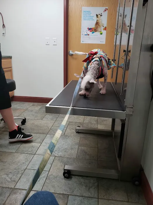 Tower Hill Animal Hospital 3