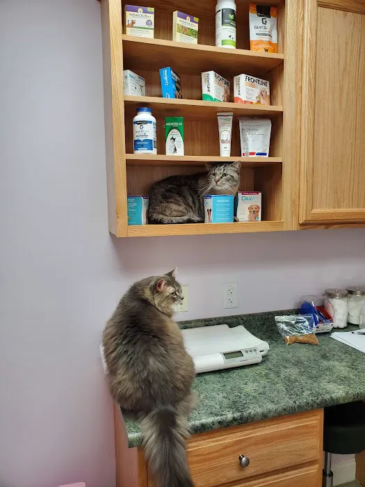Tower Hill Animal Hospital 4