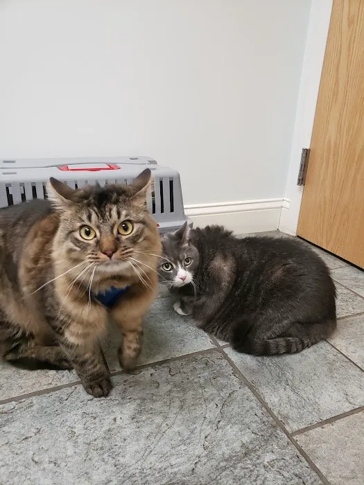 Tower Hill Animal Hospital 9