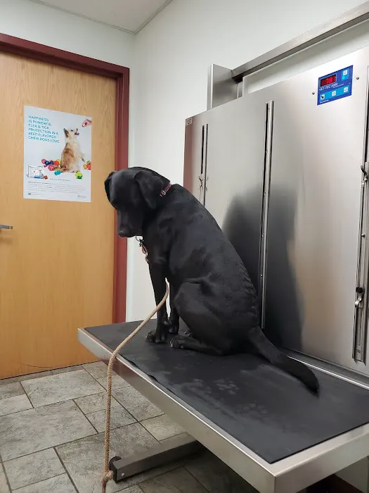 Tower Hill Animal Hospital 2