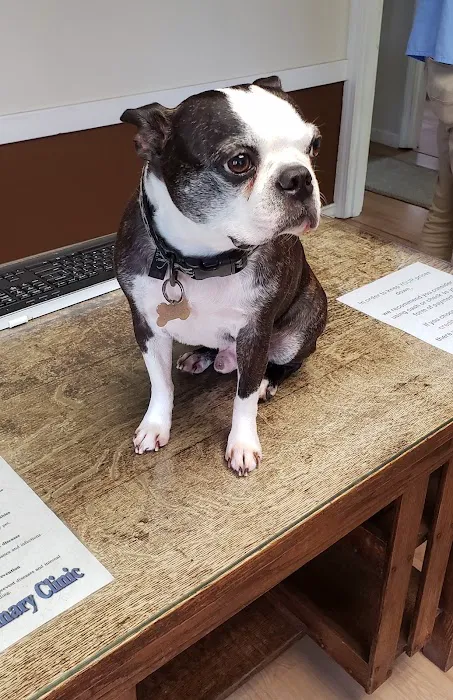 Smiley Veterinary Clinic 3
