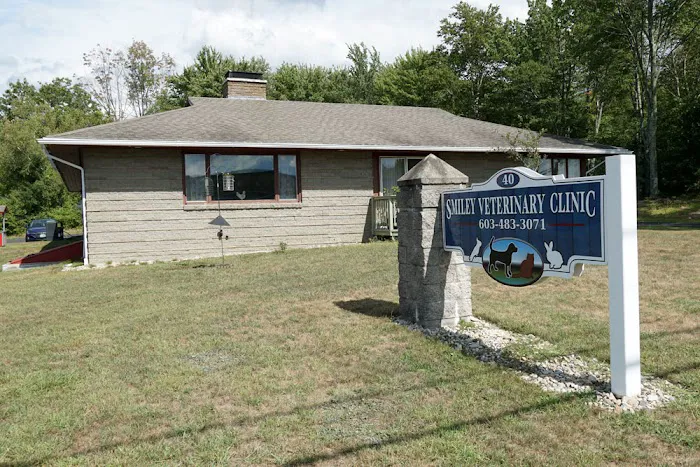 Smiley Veterinary Clinic 5