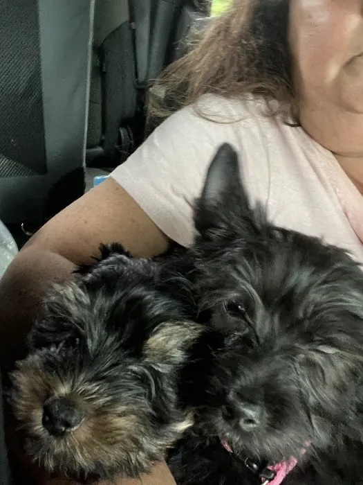 Allenstown Animal Hospital 1
