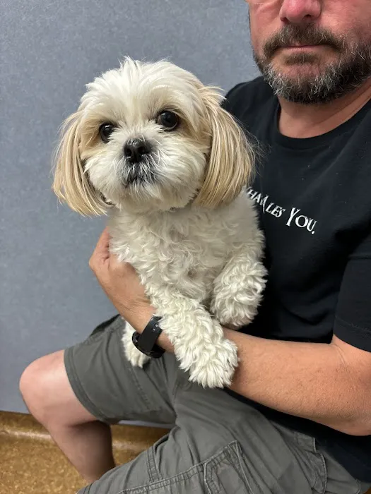Allenstown Animal Hospital 7