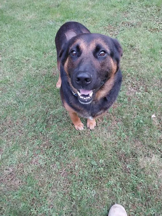 Central New Hampshire Animal Care 10